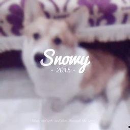 娱乐吃瓜少女喵,揭秘娱乐圈那些不为人知的幕后故事