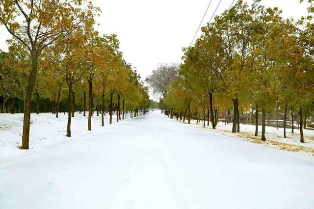 娱乐圈吃瓜新闻播报,明星恋情、绯闻、幕后故事大揭秘！